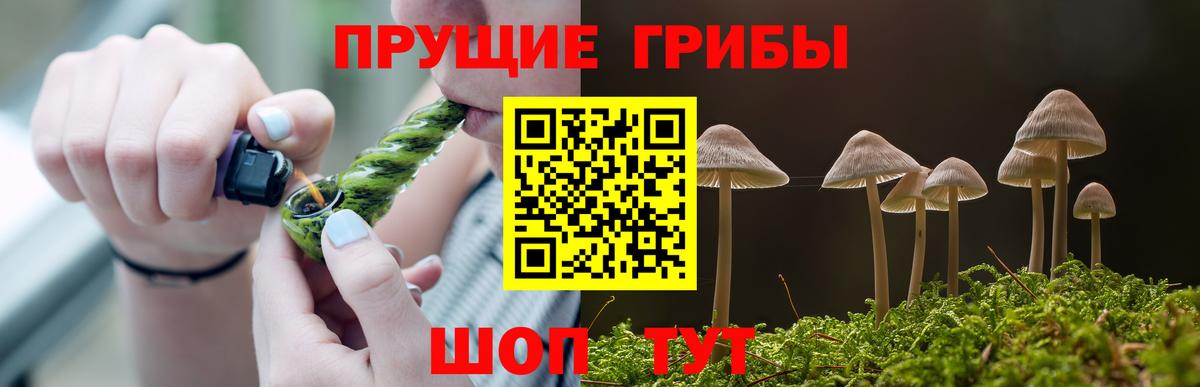 Набережные Челны  Псилоцибиновые грибы Magic Shrooms  Вход с VPN 